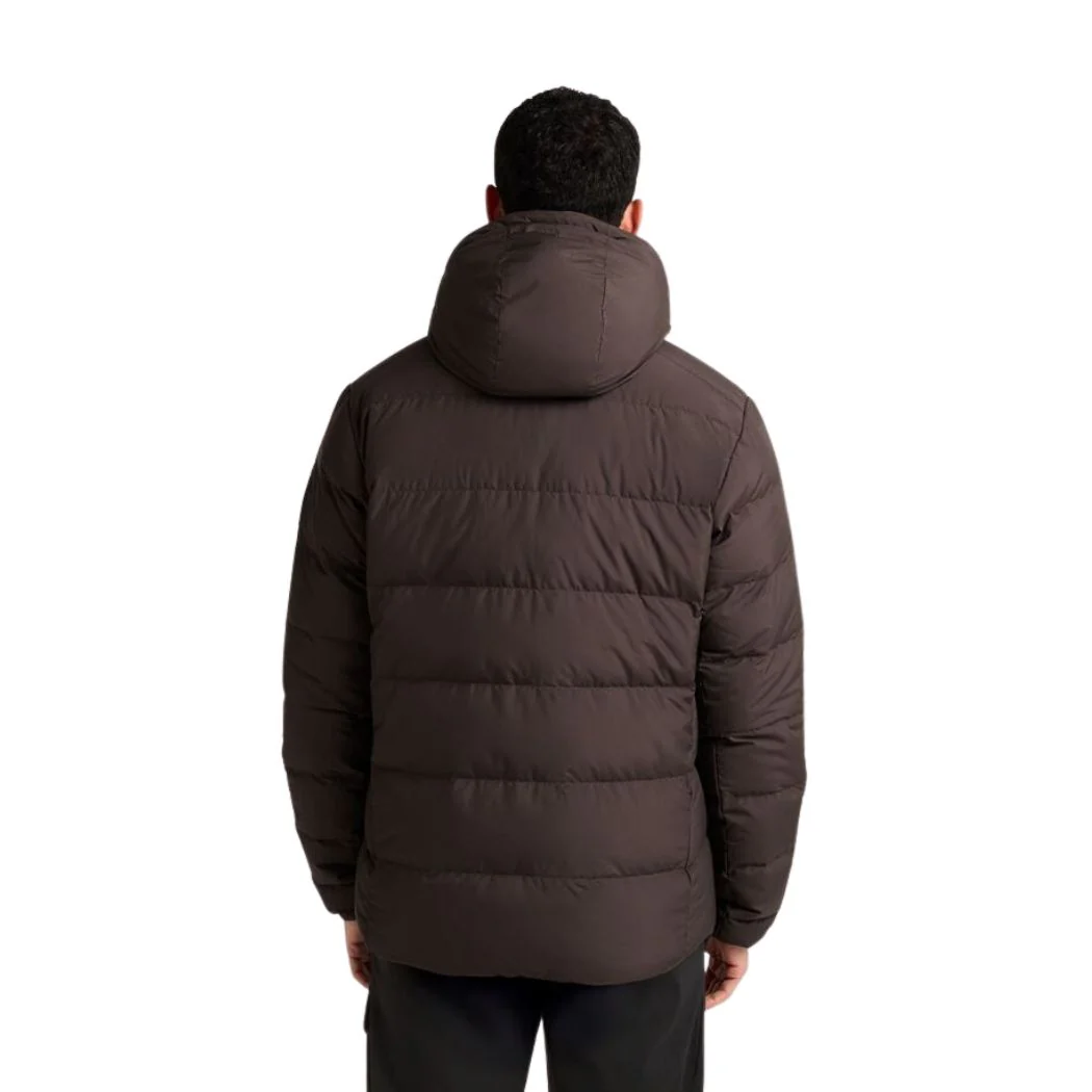 jack wolfskin Colonius RDS Men's Jacket - Image 2